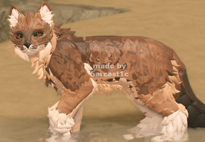 ⮤ Dhole (Indian Wild Dog) ⮥