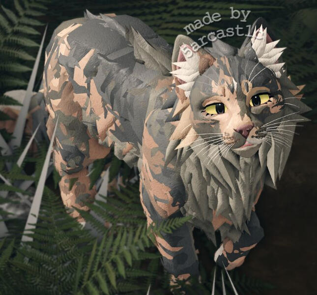 ⮤ Dilute Longhair Tortie ⮥