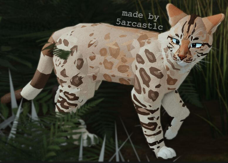 ⮤ Snow Lynx Bengal ⮥