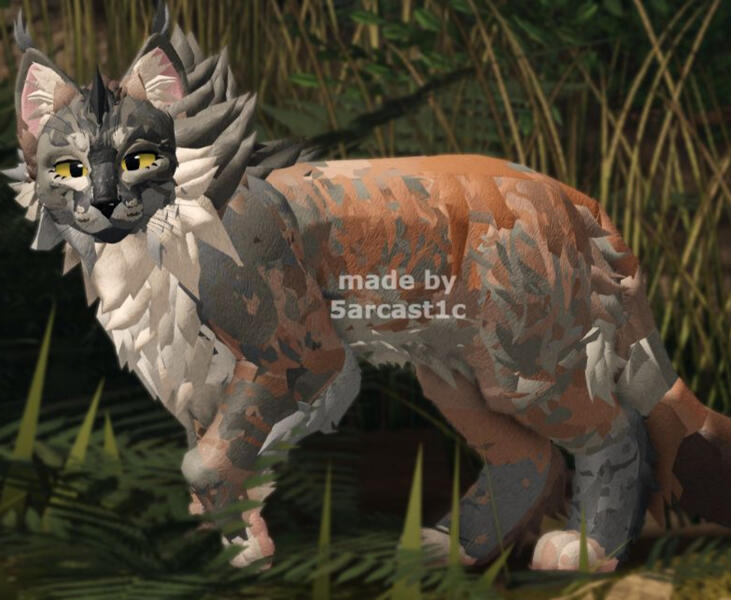 ⮤ Tortie Mix Mainecoon ⮥